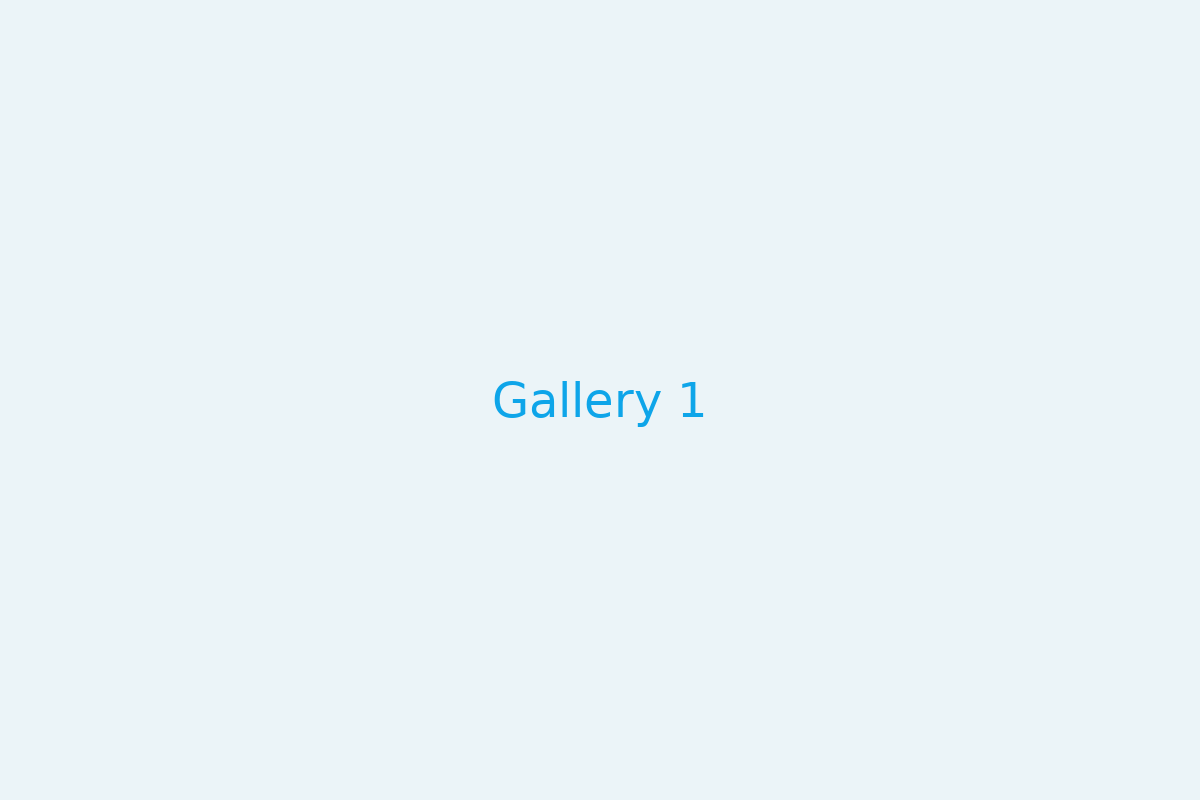 Gallery 1