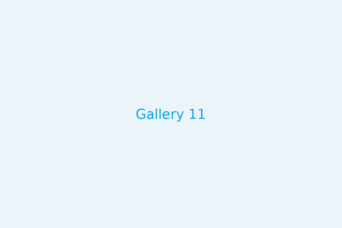Gallery 11