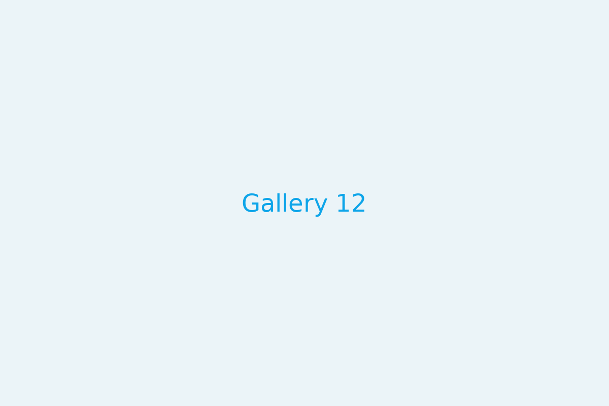 Gallery 12
