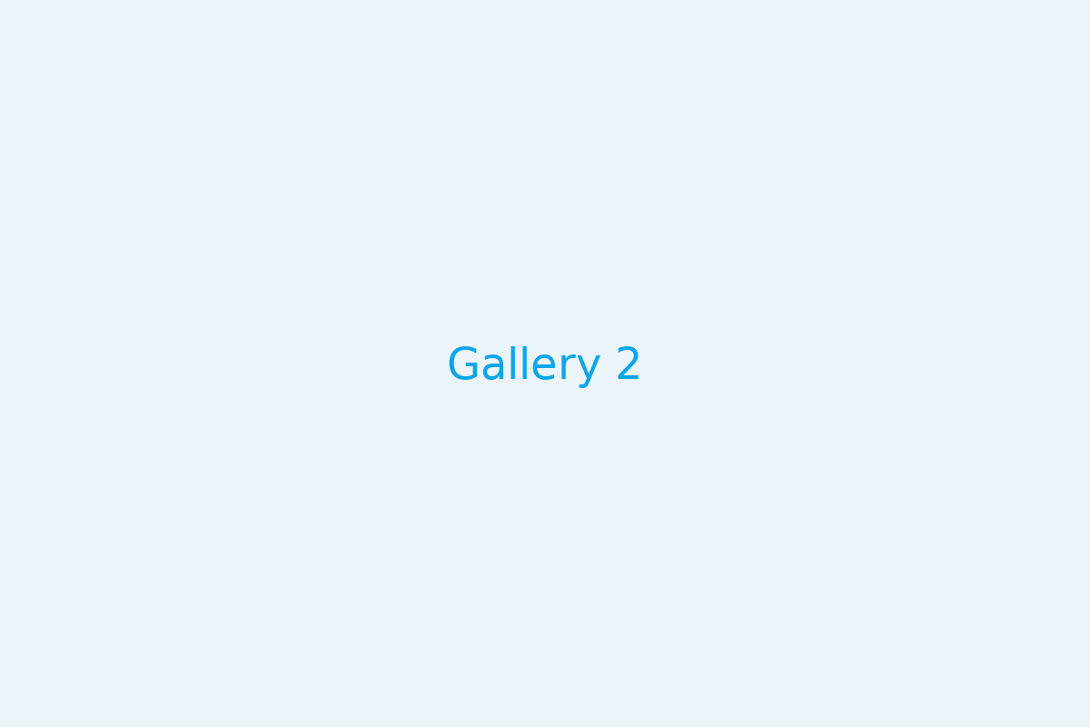 Gallery 2