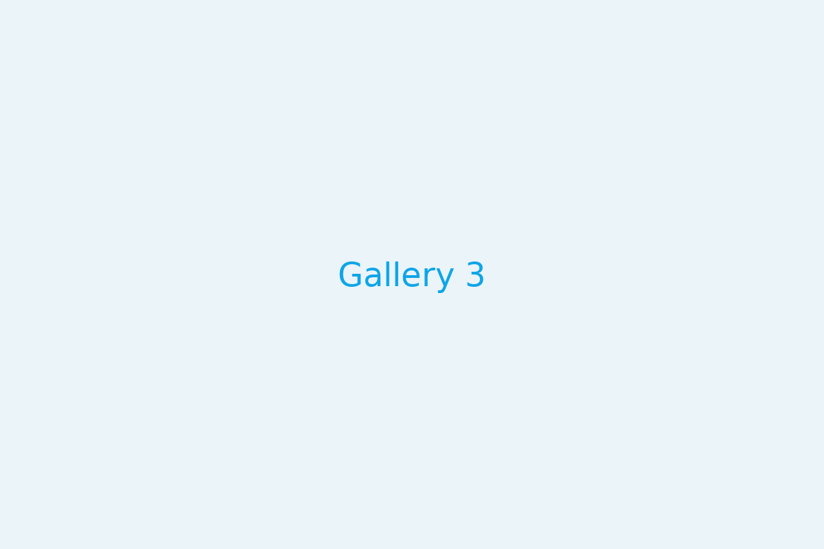 Gallery 3