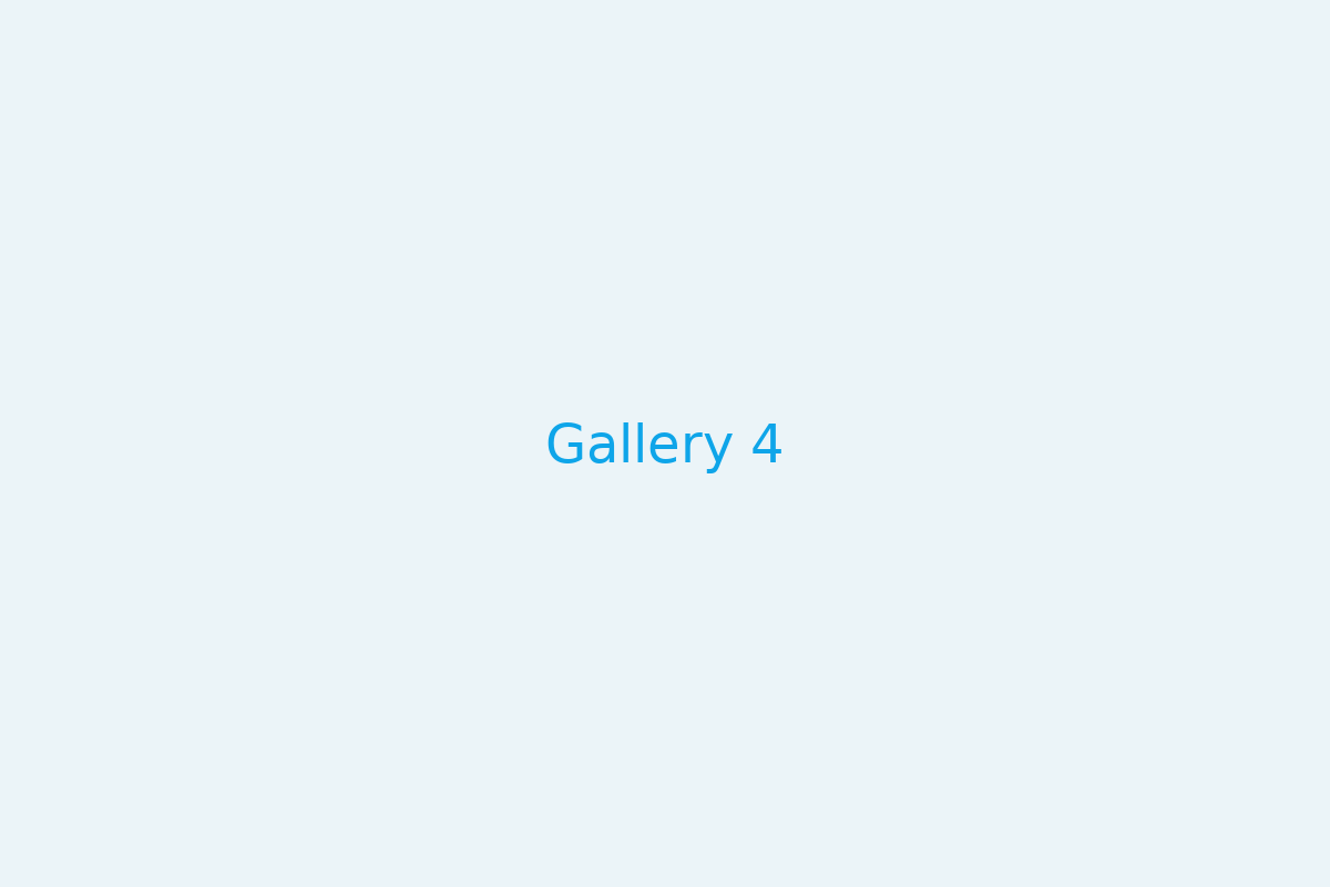 Gallery 4
