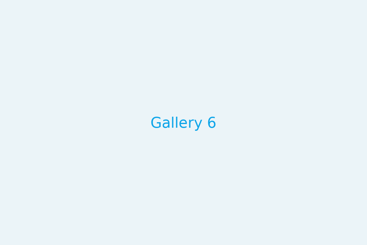 Gallery 6