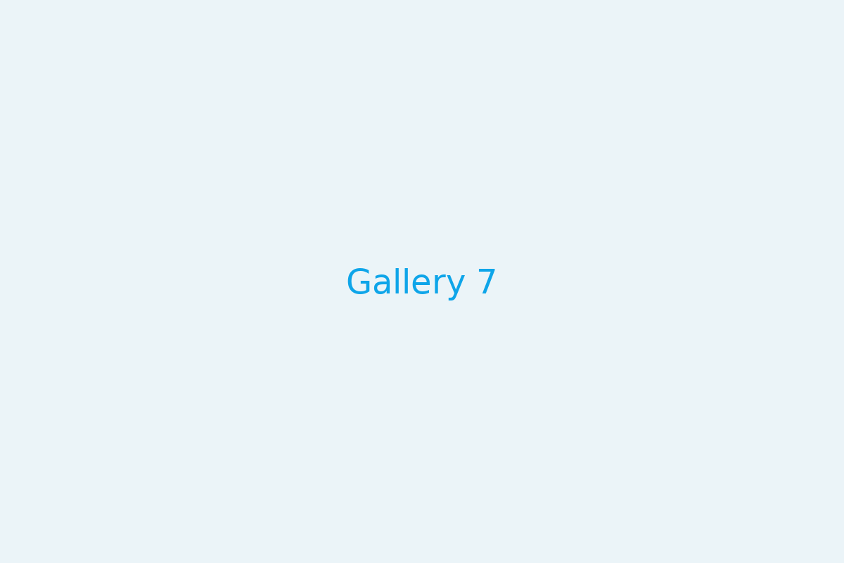 Gallery 7