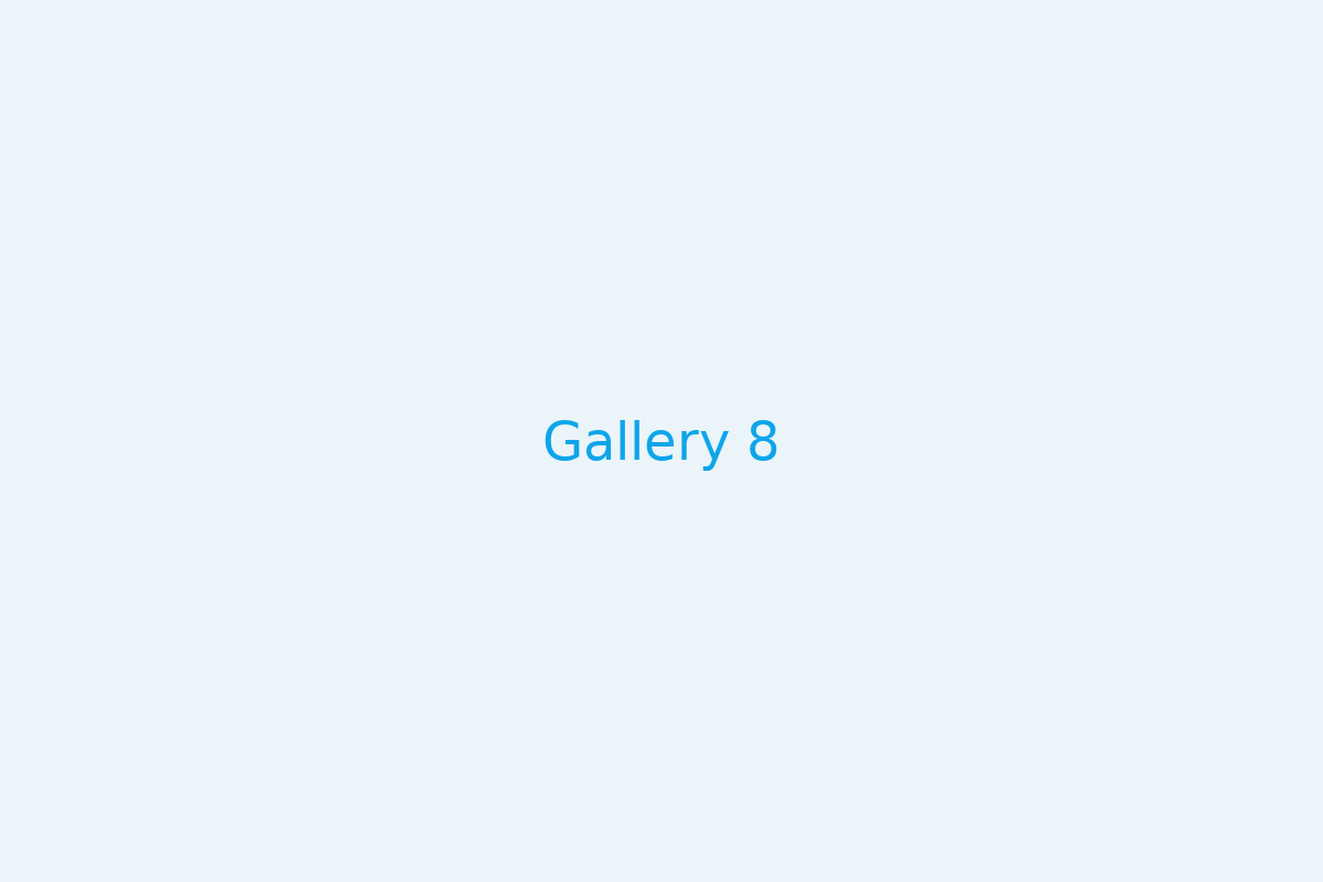 Gallery 8