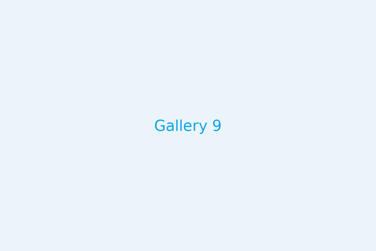 Gallery 9